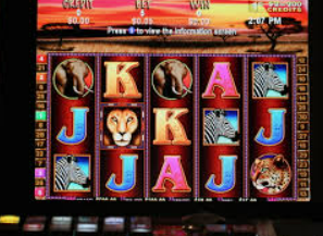 旺财28.ccpc29APP正式版