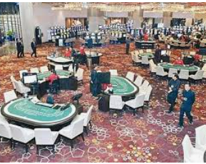 旺财28.ccpc29APP电脑免费版